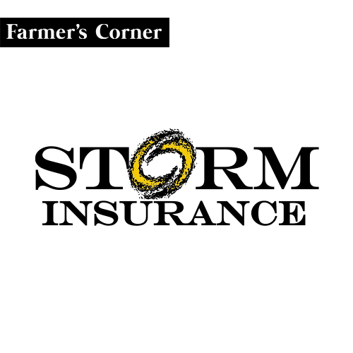 Storm Insurance Agency